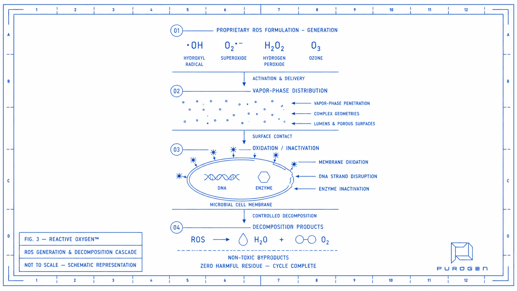 Reactive Oxygen™ — ROS generation, vapor-phase delivery, oxidation, and decomposition cascade