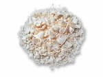 Bone allograft illustration