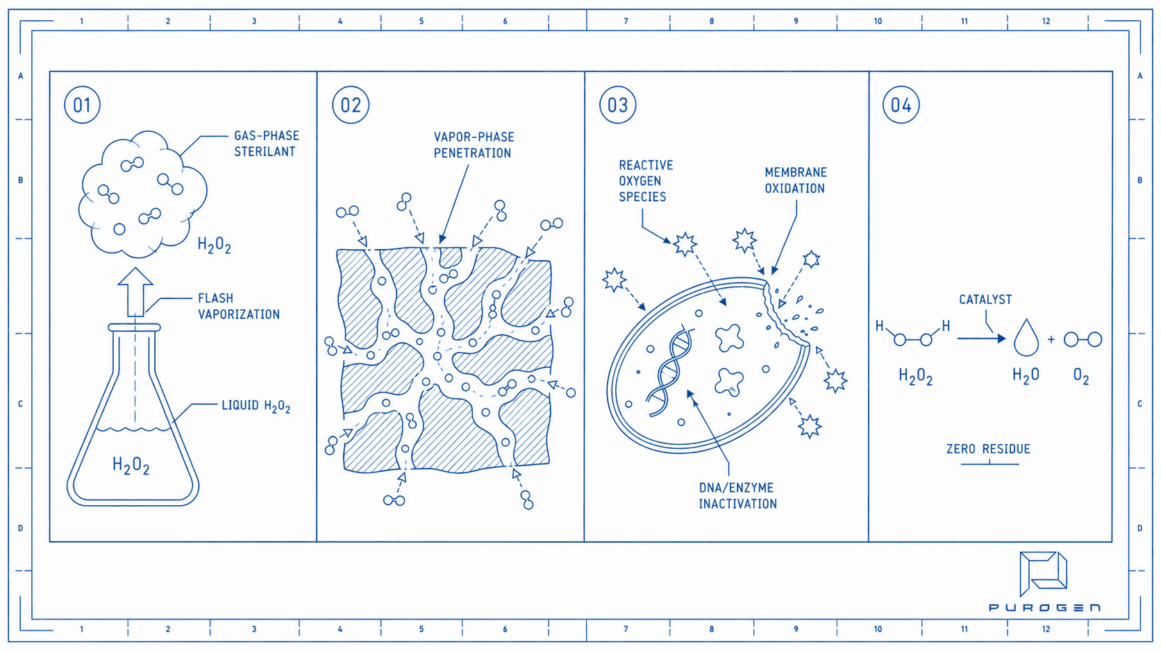 Technical drawing of the four-stage VHP sterilization cycle: Generation, Distribution, Sterilization, Decomposition